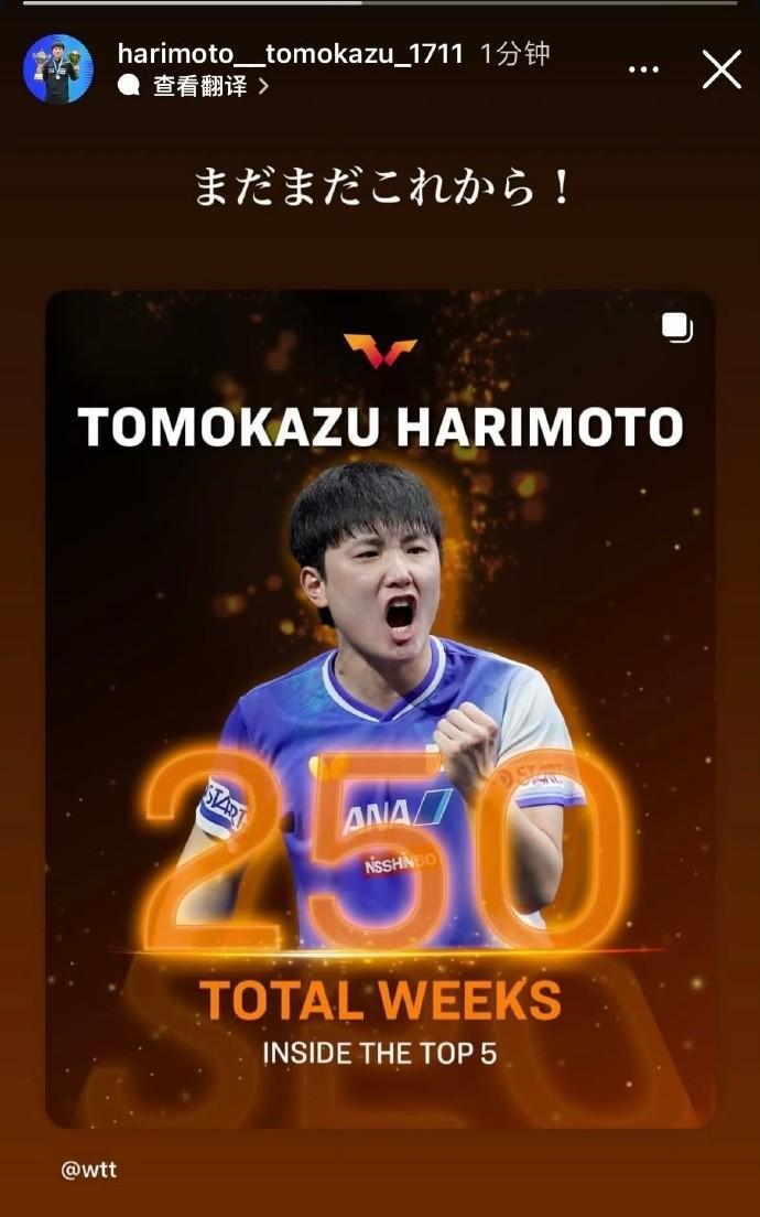 开云体育下载app-累计250周排名世界前五，张本智和：现在才刚刚开始呢！
